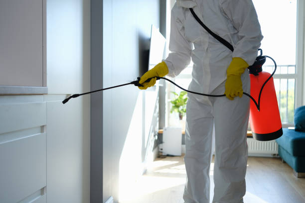 Best Attic Mold Removal  in Upper Exeter, PA